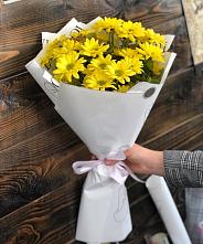 Букет цветов из:  Хризантемы #REPLACE_PRED# Новодугино