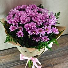 Букет цветов из:  Хризантемы #REPLACE_PRED# Новодугино