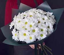Букет цветов из:  Хризантемы #REPLACE_PRED# Новодугино