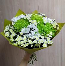 Букет цветов из:  Хризантемы #REPLACE_PRED# Новодугино