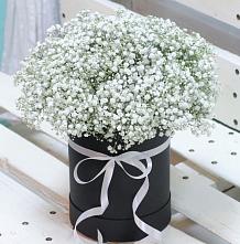 Цветочная композиция из Гипсофила в шляпной коробке #REPLACE_PRED# Новодугино
